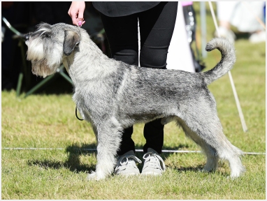 Raappavuoren Omakehu