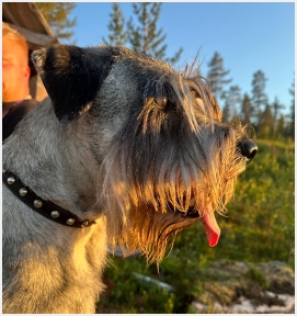 Raappavuoren Omakehu