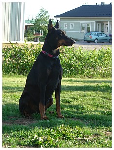 Riinan kuvat