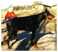 Rikke
