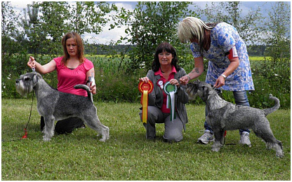 VSP Raappavuoren Fr&ouml;&ouml;kyn&auml;