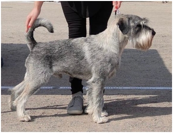 Raappavuoren Omakehu