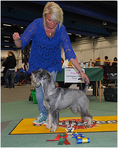 Raappavuoren Fr��kyn�