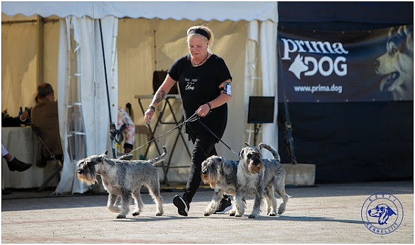 Kennel Raappavuoren